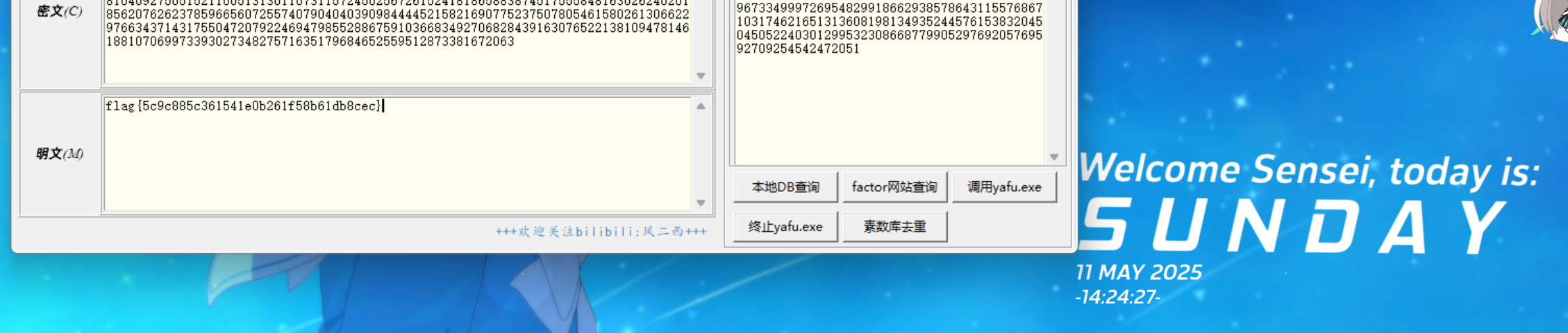 image-20250511142433147